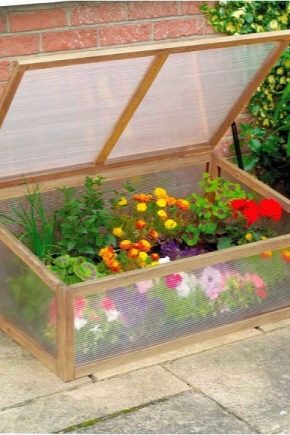  Features of the choice of greenhouses to give