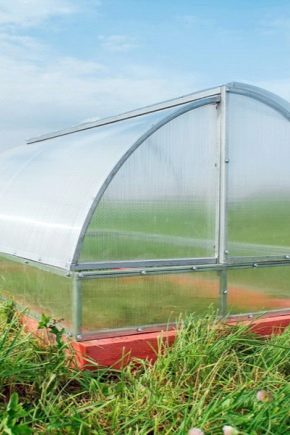  Greenhouse Breadbox: what it is, advantages and disadvantages