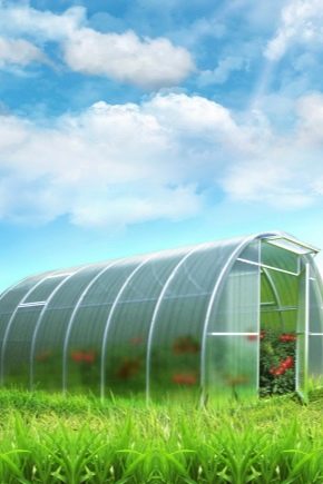 Polycarbonate greenhouses: types and benefits