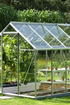  Greenhouses house: options and design features