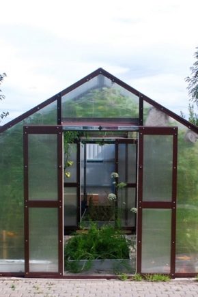  Glass Houses Greenhouses: Ciri-ciri dan Manfaat Struktur