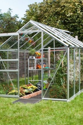  How to make a greenhouse for plants?