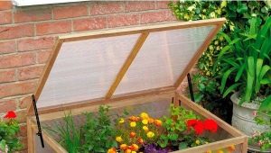 Features of the choice of greenhouses to give