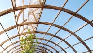  Film for greenhouses: features of choice