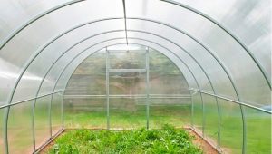  Greenhouses Agrosphere: types and rules of operation