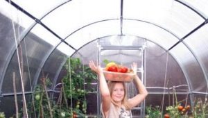  Which polycarbonate is better to choose for the greenhouse?