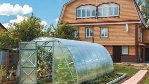  What greenhouse to put in the country?