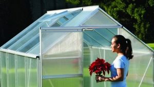  Polycarbonate greenhouses: advantages and disadvantages