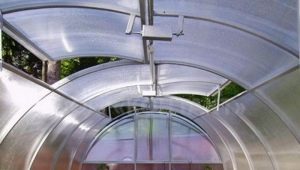  Rooftop greenhouses: features and types