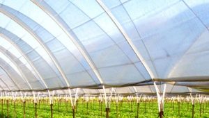  Choosing heating for a polycarbonate winter greenhouse