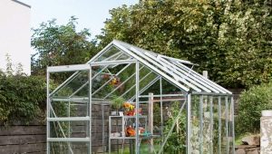 How to make a greenhouse for plants?