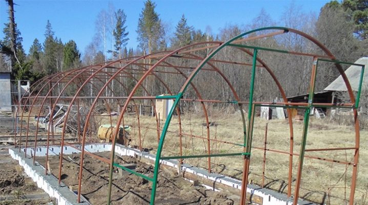  The foundation for the greenhouse: types of bases and instructions for making