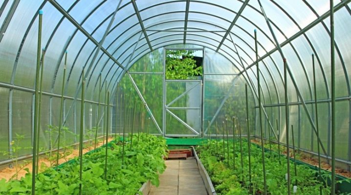  How to choose the optimal size of the greenhouse?