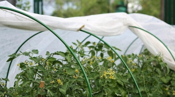 Greenhouses from arcs with covering materials: description and use