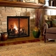  Fireplace doors with fireproof glass