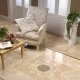  Tile on the floor in the living room: beautiful examples in the interior