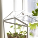 Bagaimana untuk membuat rumah hijau mini di tingkap?