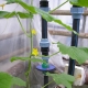  Drip irrigation in the greenhouse: the device and the advantages of the system