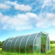  Polycarbonate greenhouses: types and benefits