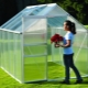  Polycarbonate greenhouses: advantages and disadvantages