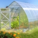  Greenhouses Will: types and characteristics